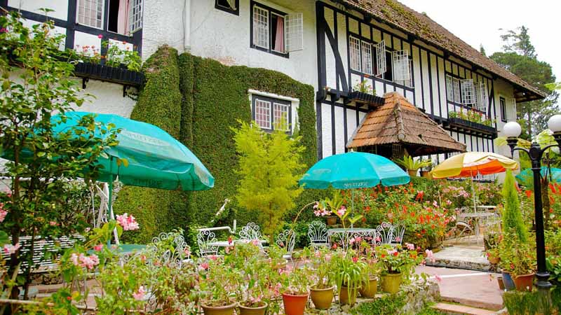 Cameron Highlands, Malaysia