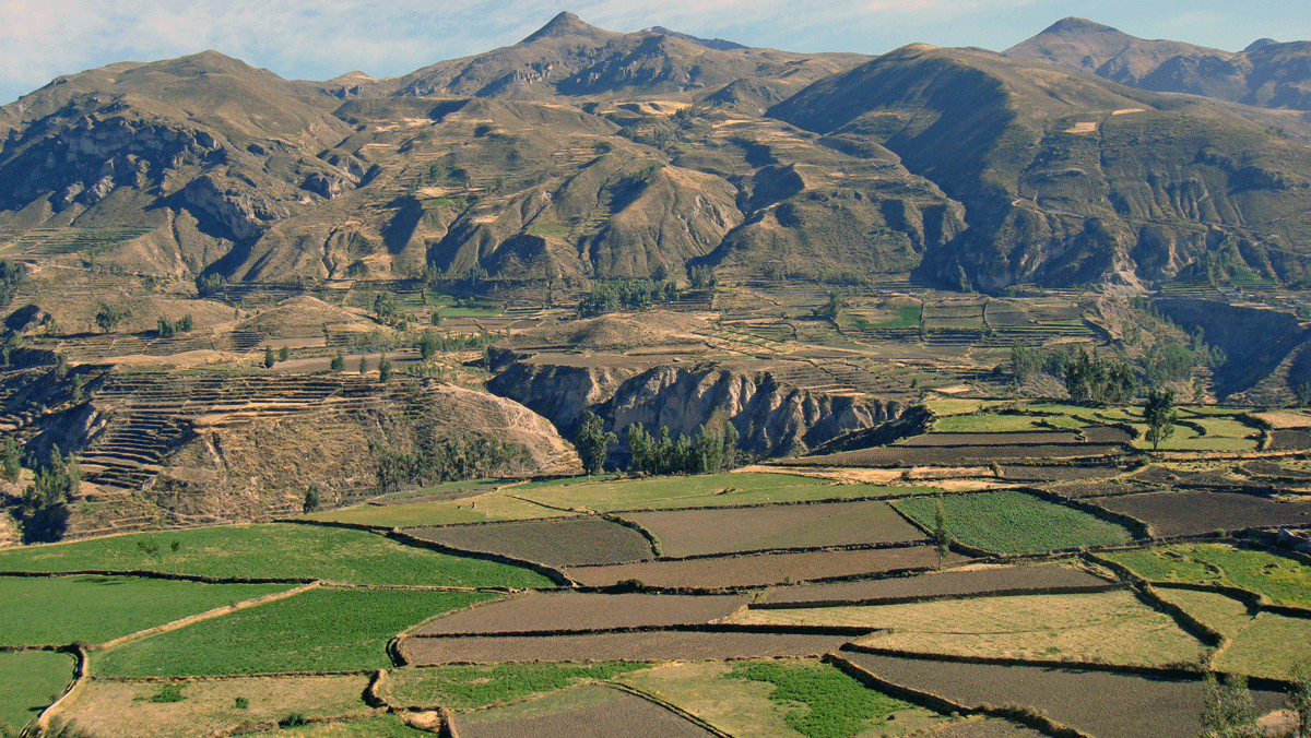 Colca Canyon, Peru