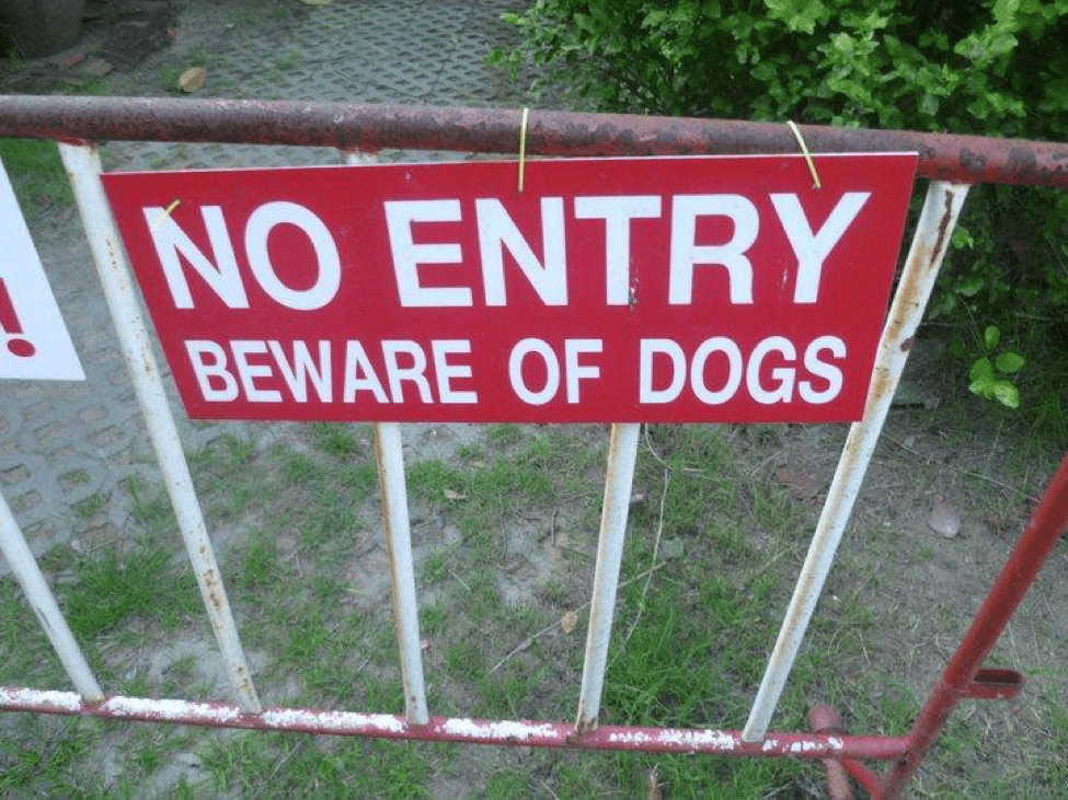 beware-dogs