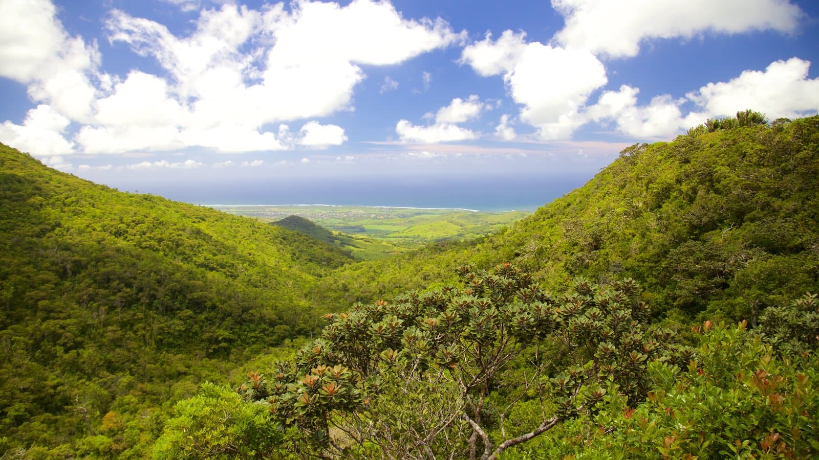 Black River Gorges National Park in Mauritius