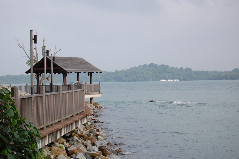 Changi Point Coastal Walk