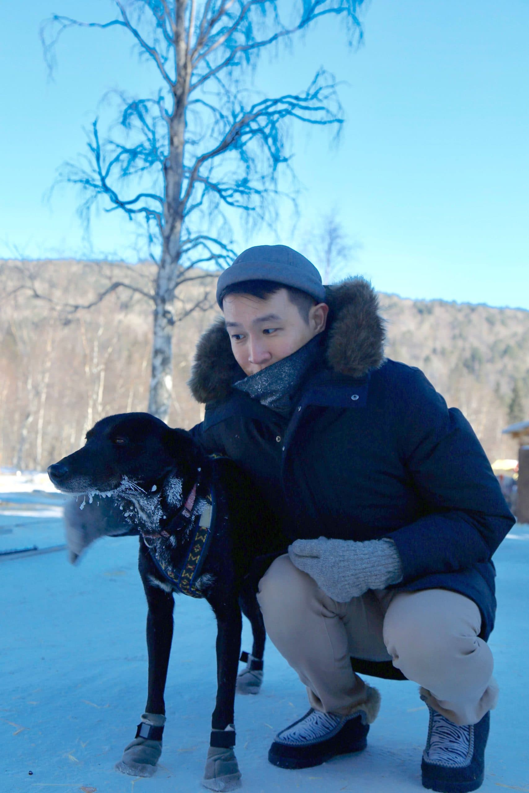 Dog sledging in Listvyanka