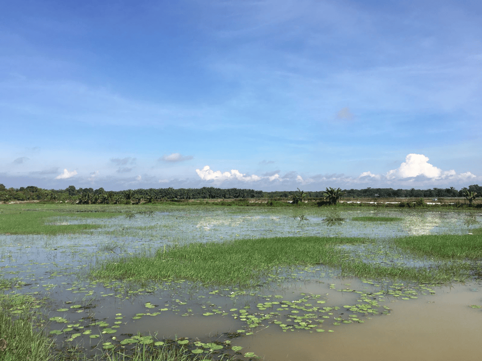 kahang-organic-farm-surrounds