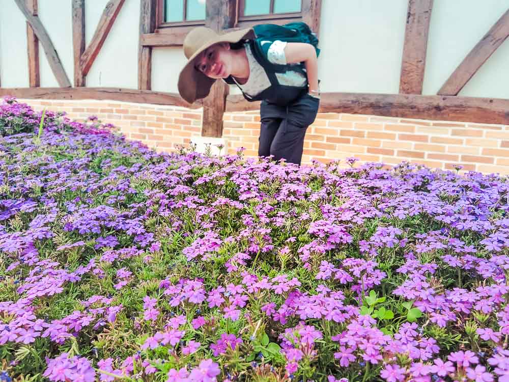 nami-island-travelblog-petite-france