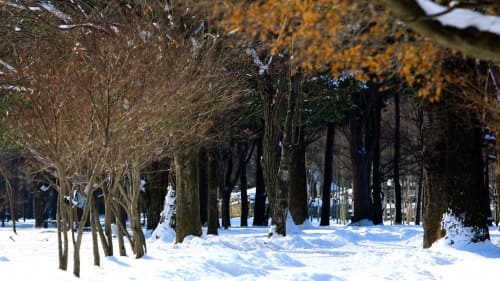 petite-france-winter-sonata