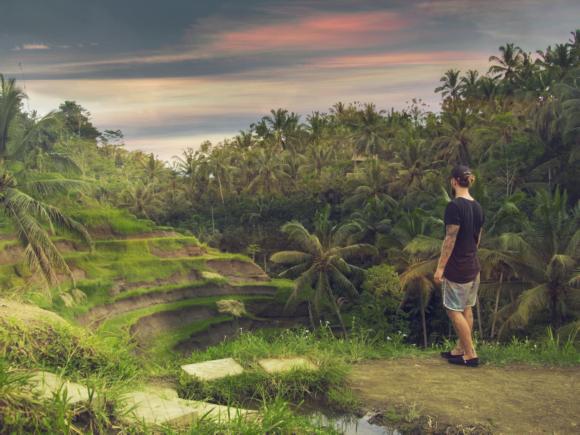 man looking at rice terraces