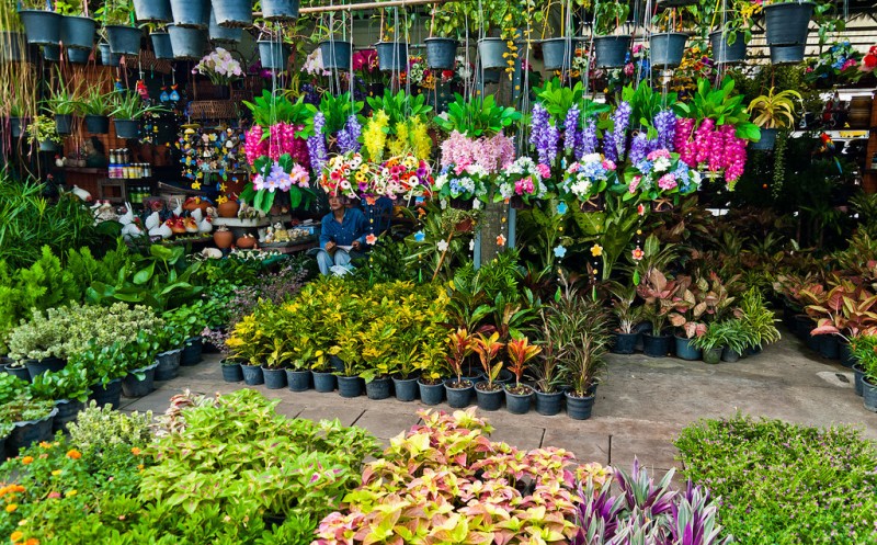 bangkok-flower-markets