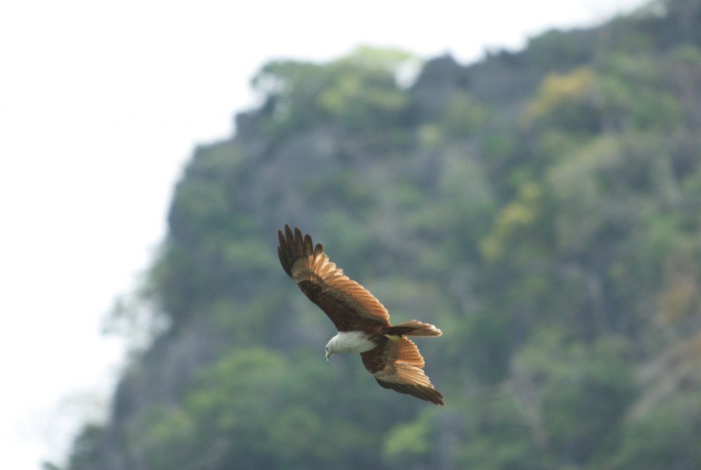 Langkawi - Eagles